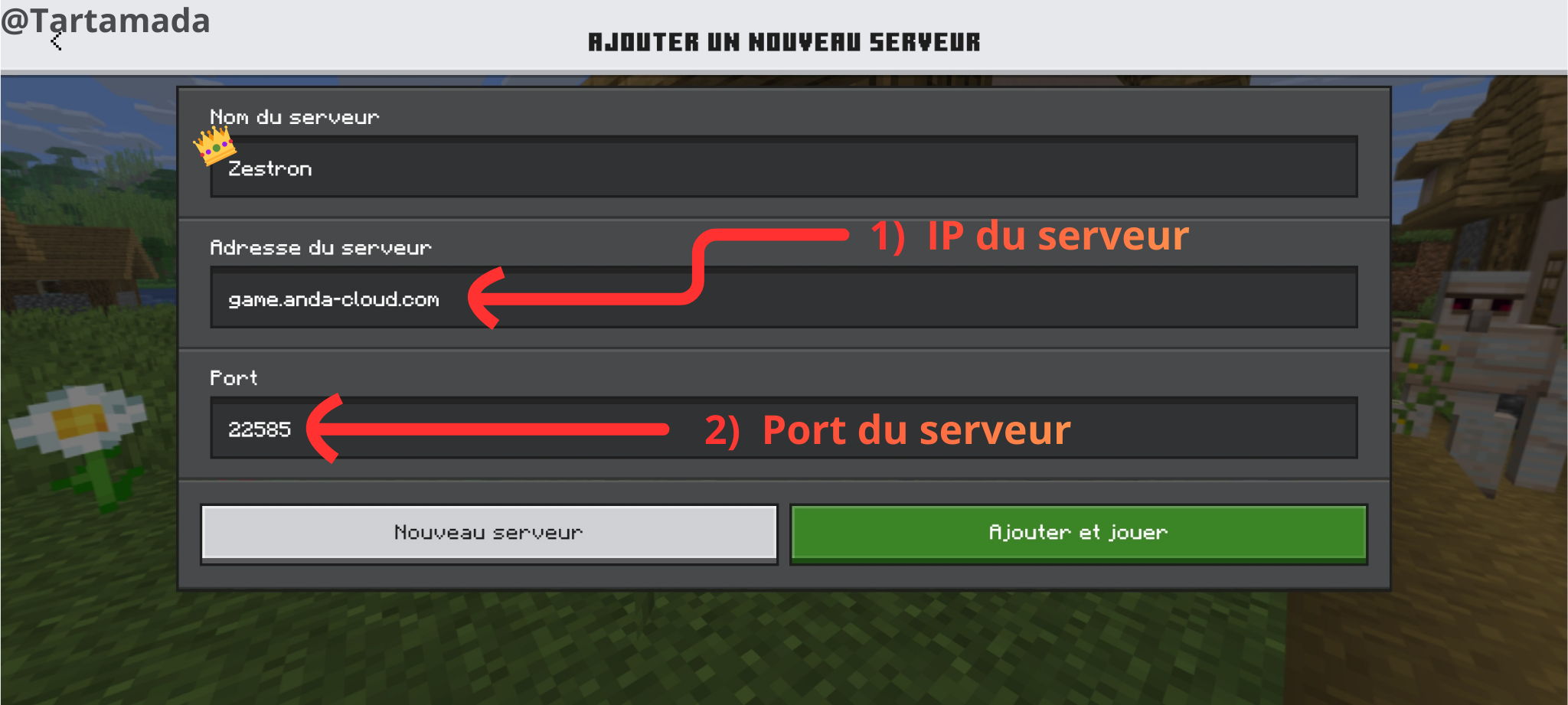 Étape 3 - Connexion au serveur Zestron
